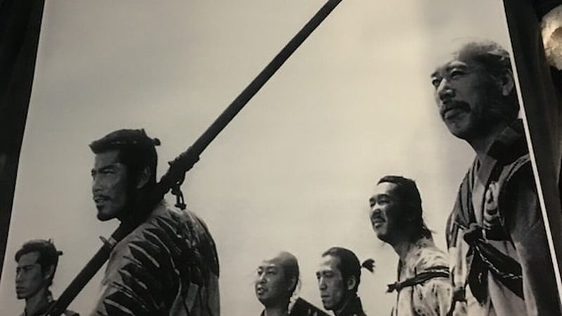 草坪铺设后养护攻略：关键步骤与注意事项