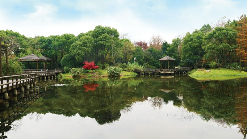 绿化养护合同模板：关键要素与撰写指南