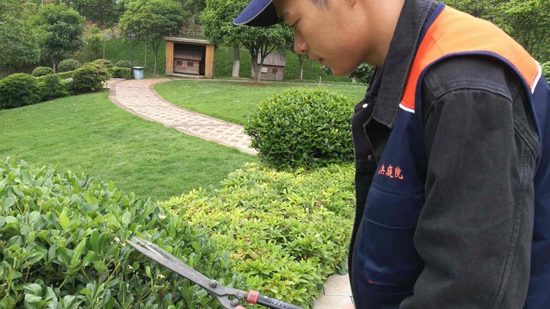 别墅花园不是复制粘贴，定制设计才是灵魂
