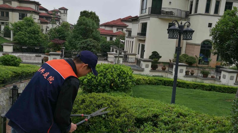 微型庭院设计：标准与规范全解析**