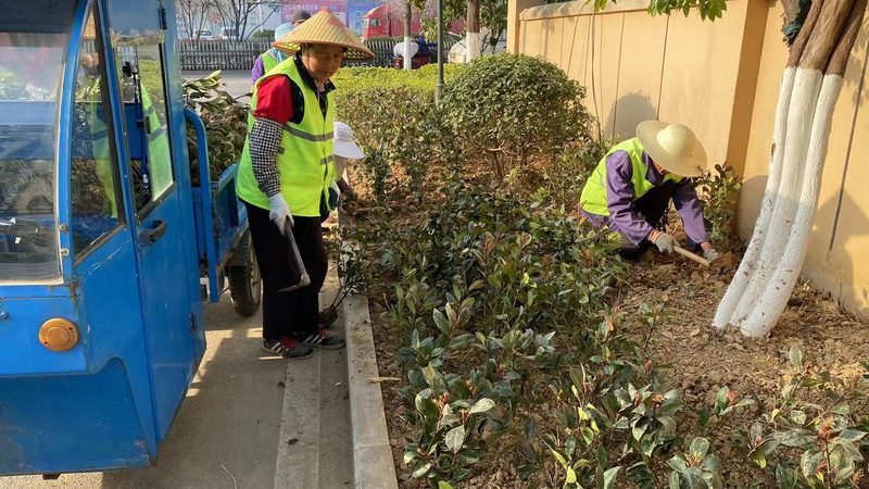 垂直绿化墙自动灌溉系统：材质选择与性能考量**