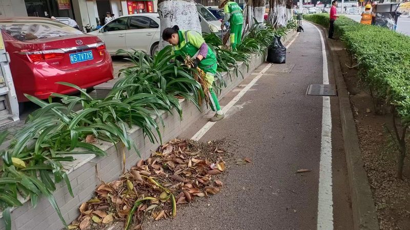 七人制足球场草坪尺寸解析：标准与选择要点