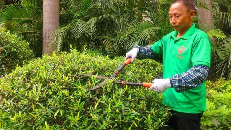 屋顶绿化自动喷淋施工注意事项