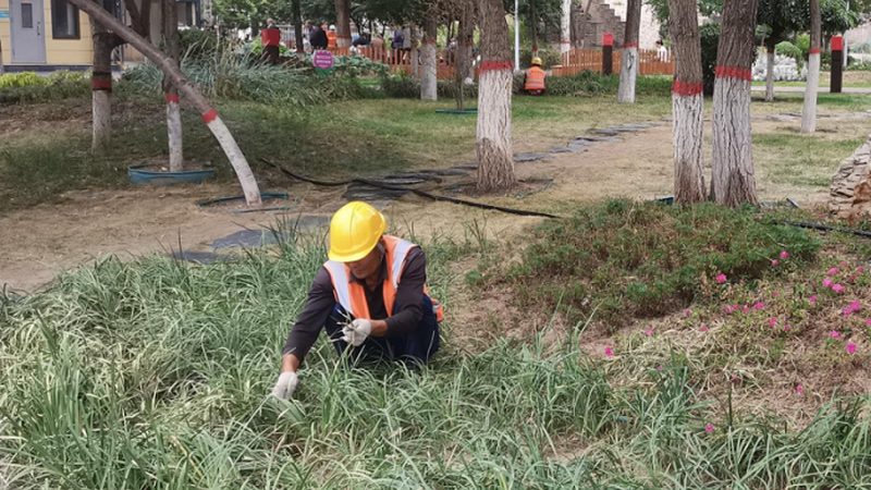 边坡绿化护坡材料，选错比不选更麻烦