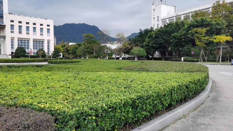 小区绿化浇灌设备批发报价里的门道，不止是价格数字