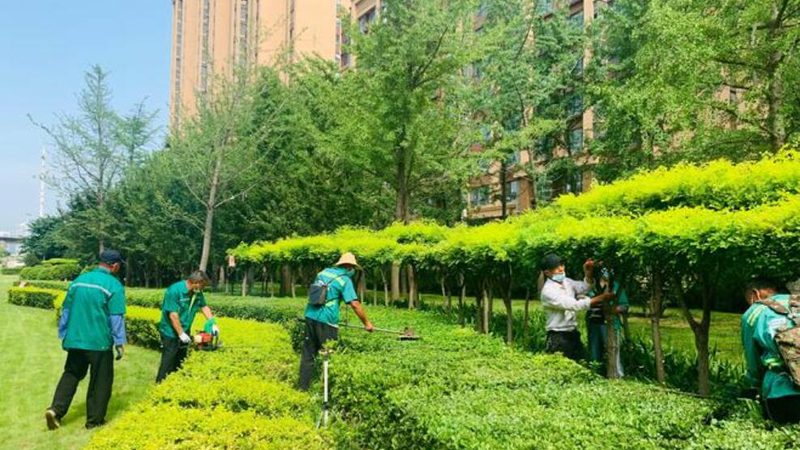 商业空间植物墙：打造绿色空间的秘密武器